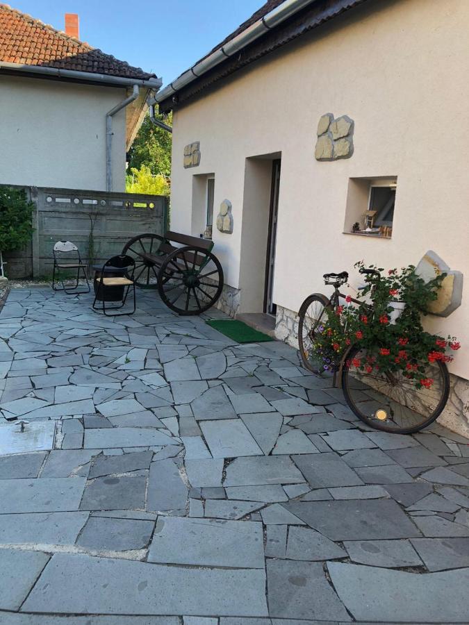 Casa Cezara Lejlighed Silvasu de Jos Eksteriør billede