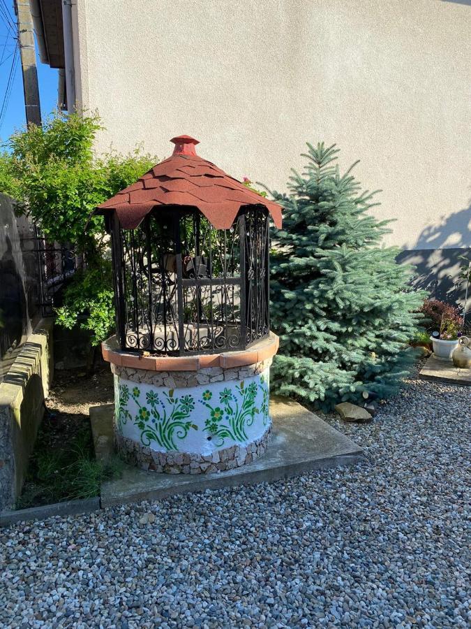 Casa Cezara Lejlighed Silvasu de Jos Eksteriør billede