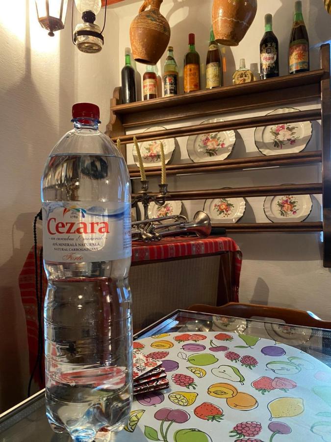 Casa Cezara Lejlighed Silvasu de Jos Eksteriør billede