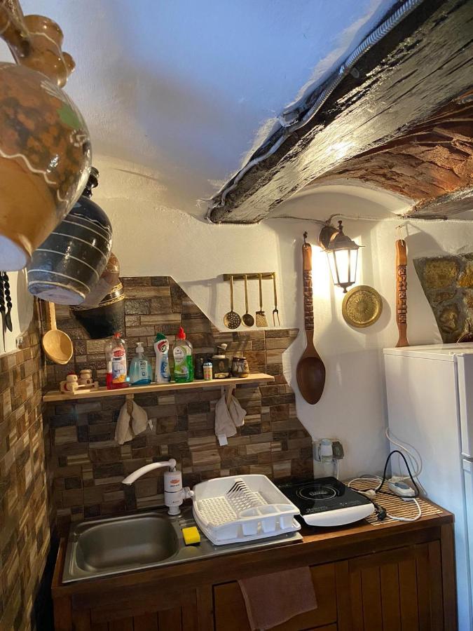 Casa Cezara Lejlighed Silvasu de Jos Eksteriør billede