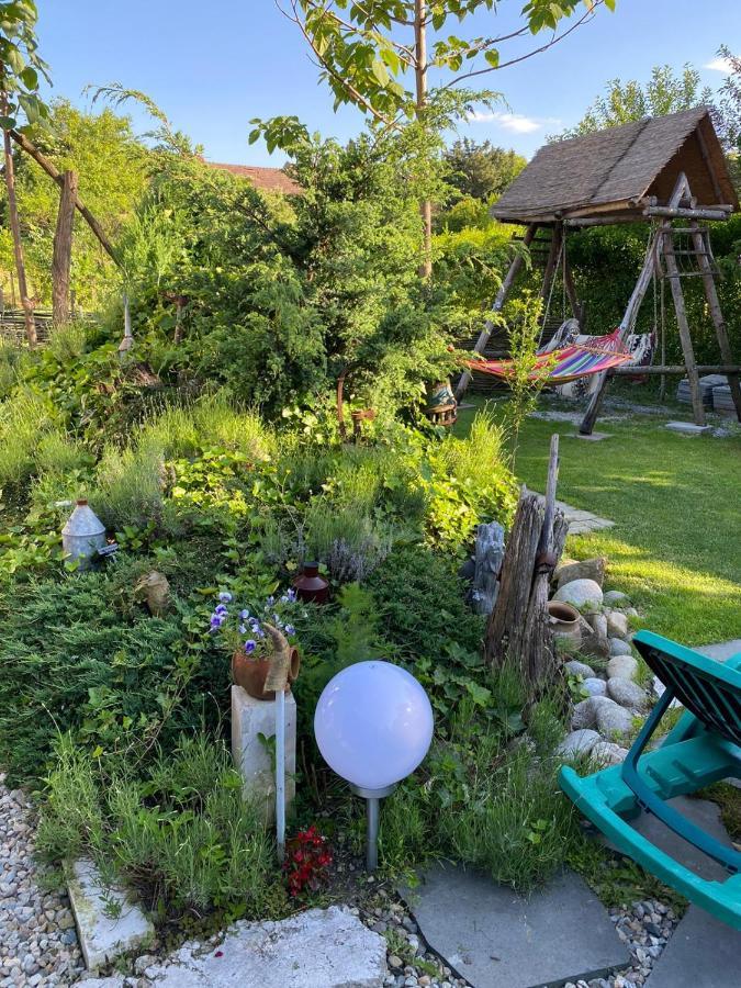 Casa Cezara Lejlighed Silvasu de Jos Eksteriør billede