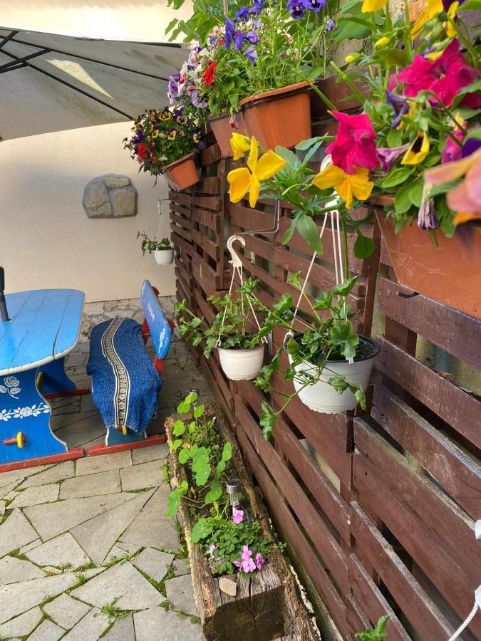 Casa Cezara Lejlighed Silvasu de Jos Eksteriør billede