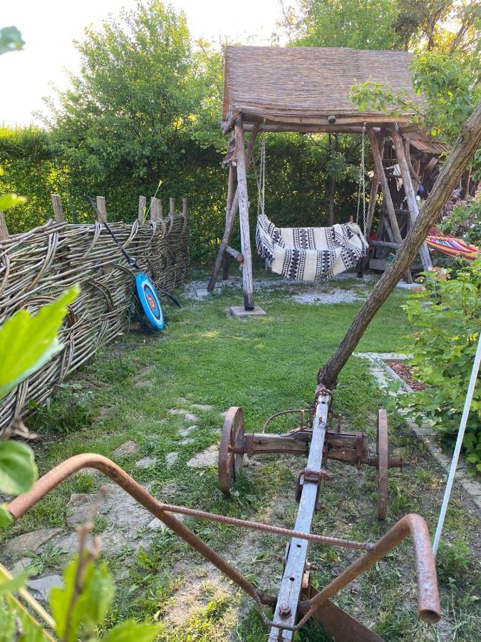 Casa Cezara Lejlighed Silvasu de Jos Eksteriør billede