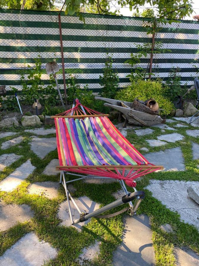 Casa Cezara Lejlighed Silvasu de Jos Eksteriør billede