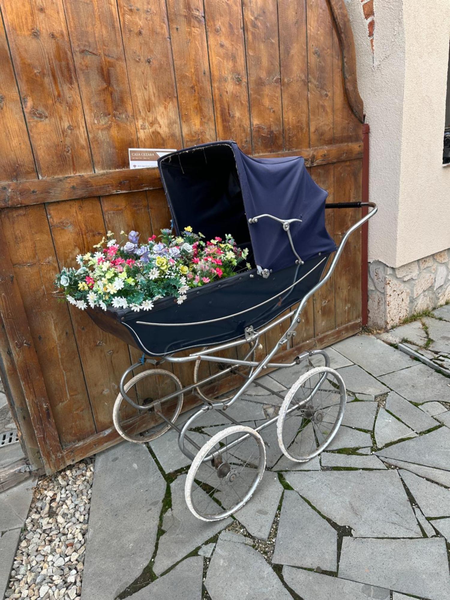 Casa Cezara Lejlighed Silvasu de Jos Eksteriør billede