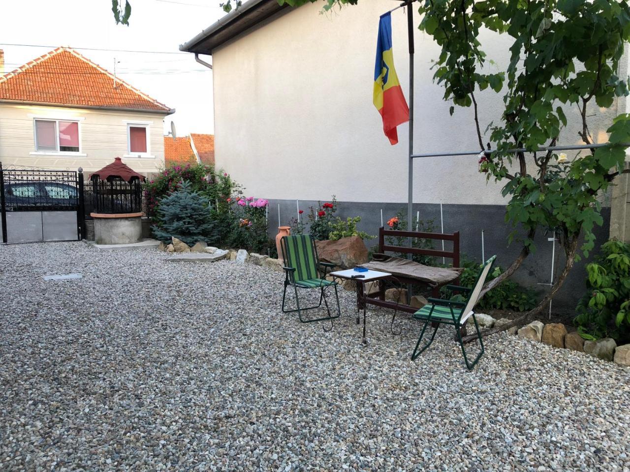 Casa Cezara Lejlighed Silvasu de Jos Eksteriør billede